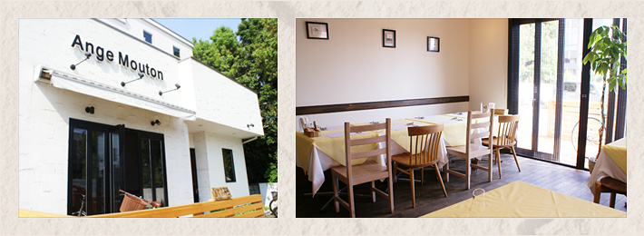 アンジュムートン